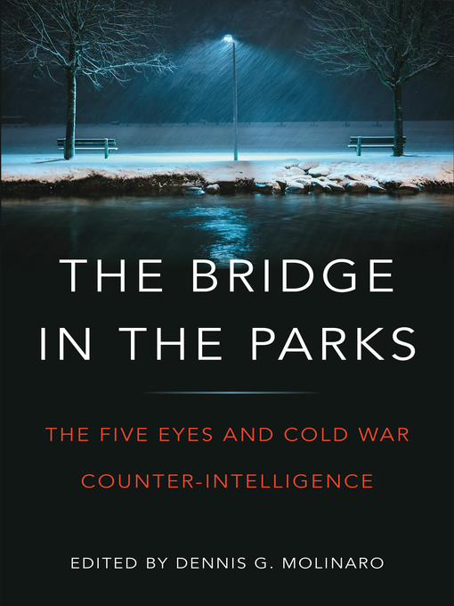 Title details for The Bridge in the Parks by Dennis G. Molinaro - Available